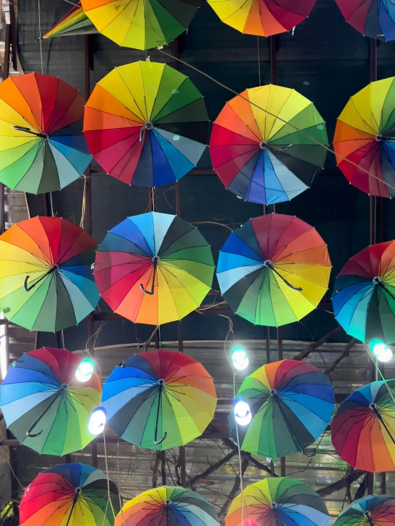 umbrellas are displayed in front of the camera