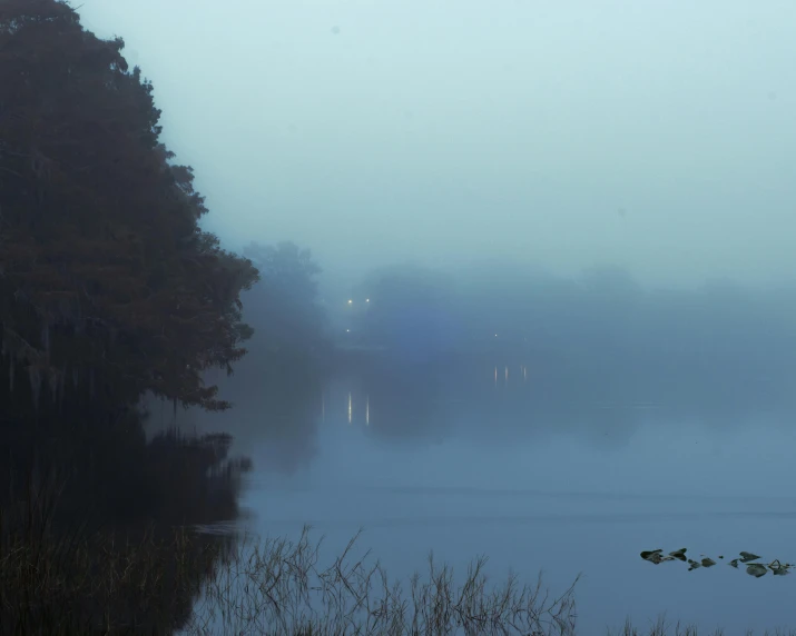 misty fog on a body of water with a row of houses