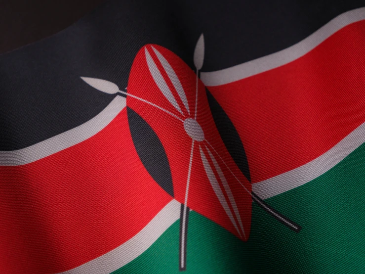 a close - up po of a t - shirt that is not made with the flag of kenya
