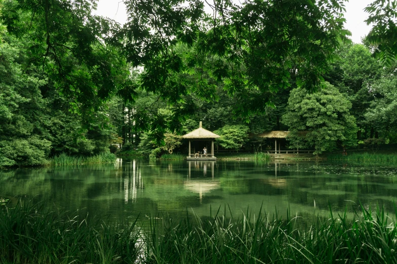 a lake surrounded by a lush green forest