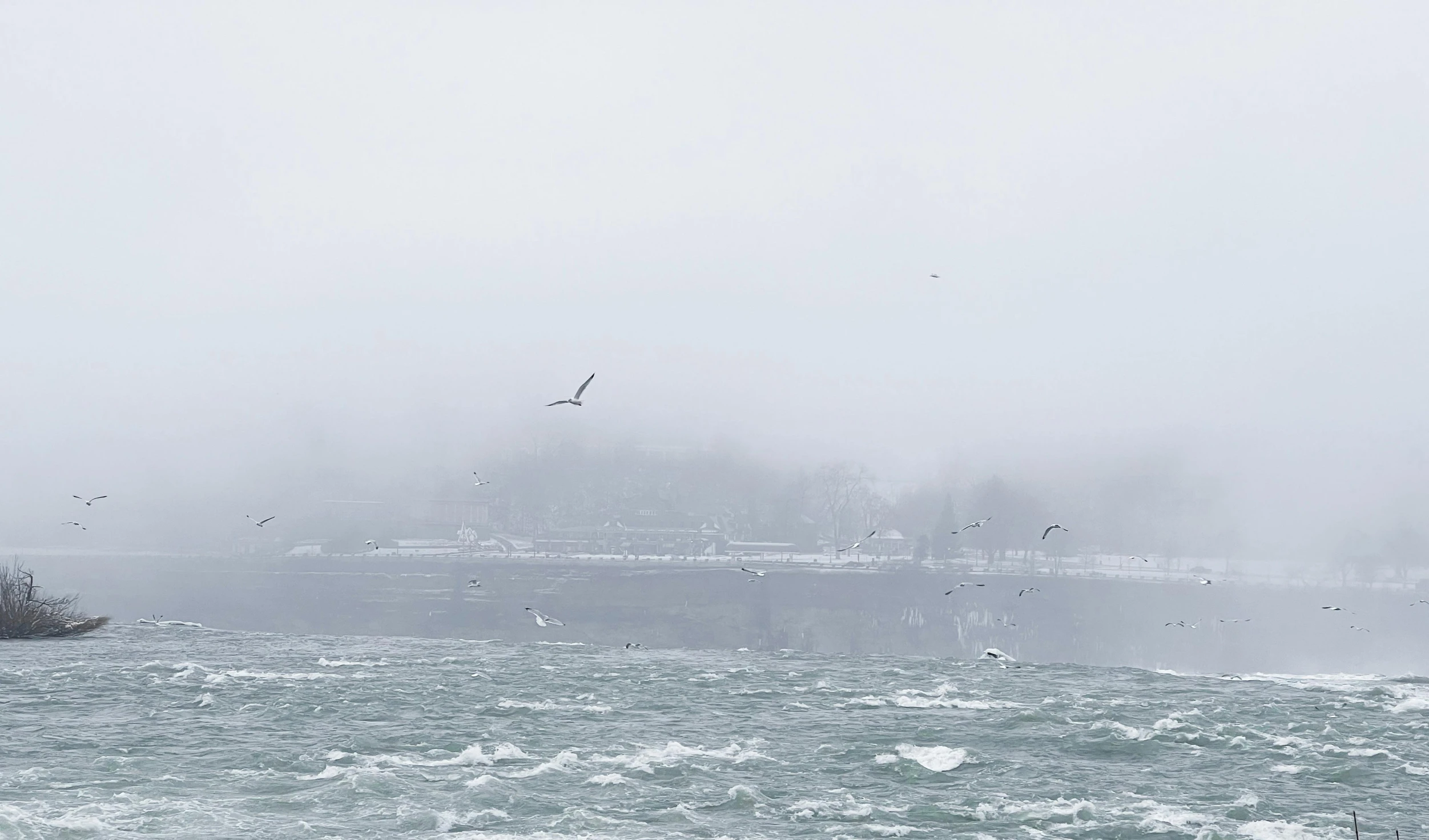 the fog is covering the water with many birds flying over it