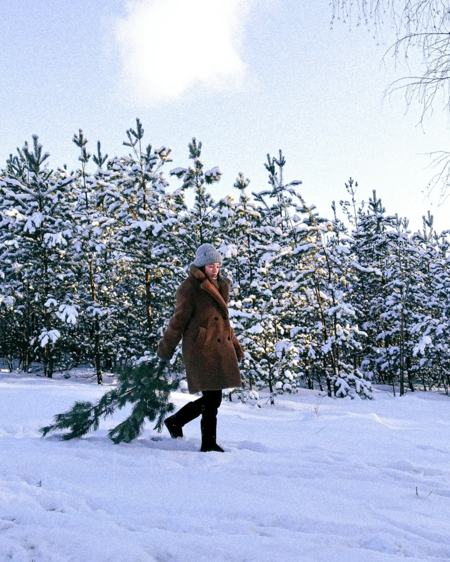 a person walks through the snow carrying a bundle of christmas trees