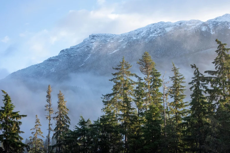 the mountains are covered with mist and trees