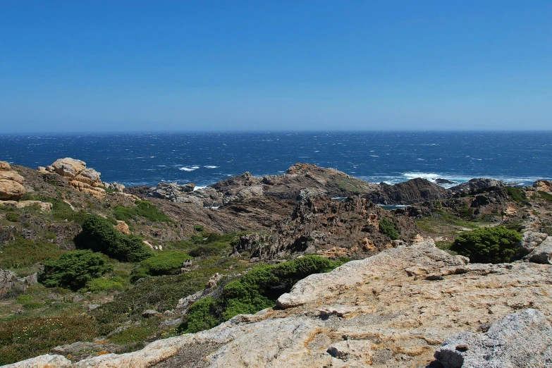 two black birds are sitting on a rock