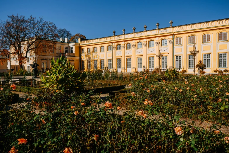 a large building with several windows and many bushes