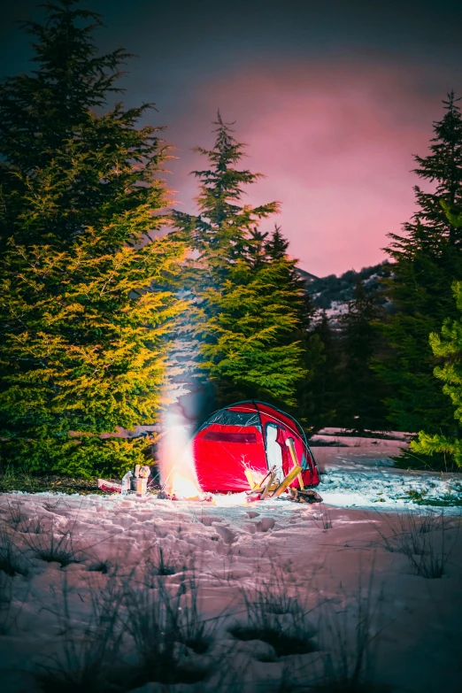 car being attacked in water at dusk near trees