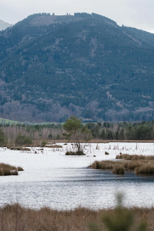 a river running next to a hill with a mountain in the background