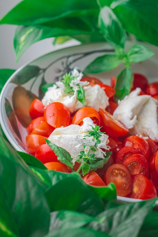 a bowl full of tomatoes, cheese, and greens