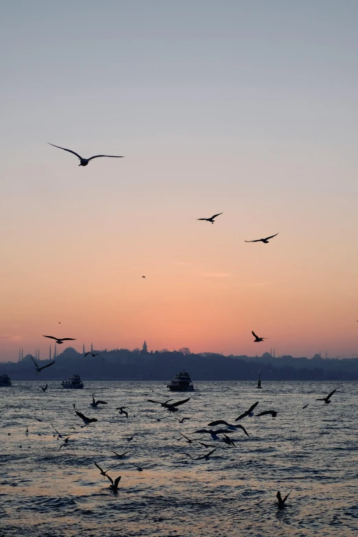 birds flying in the air over the water