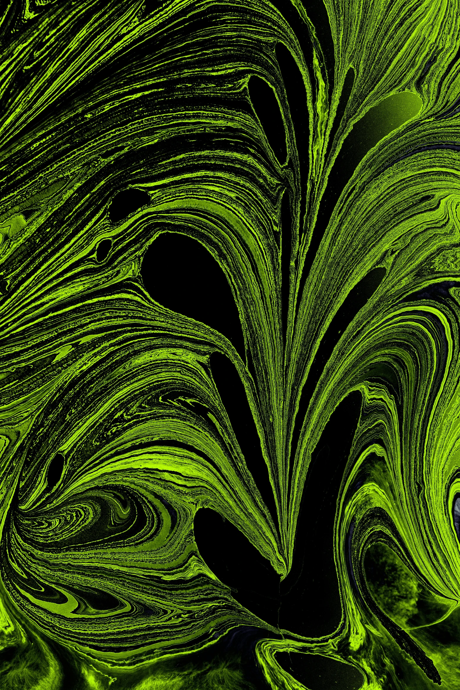 a green and black swirls with different shapes