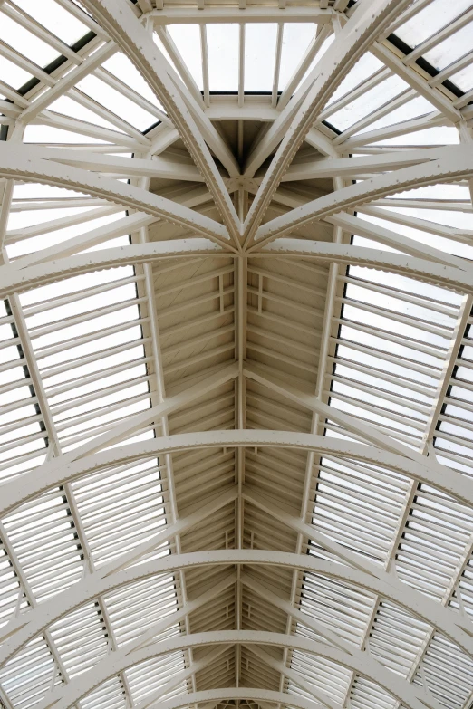 the ceiling of the train station has many thin windows