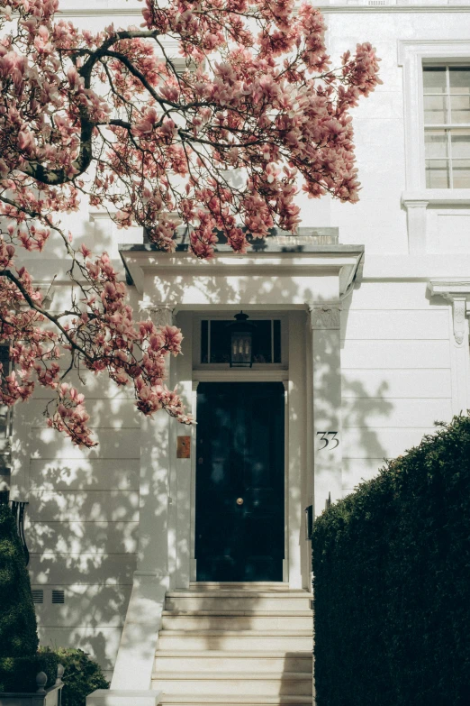 a white house with a tree in front of it