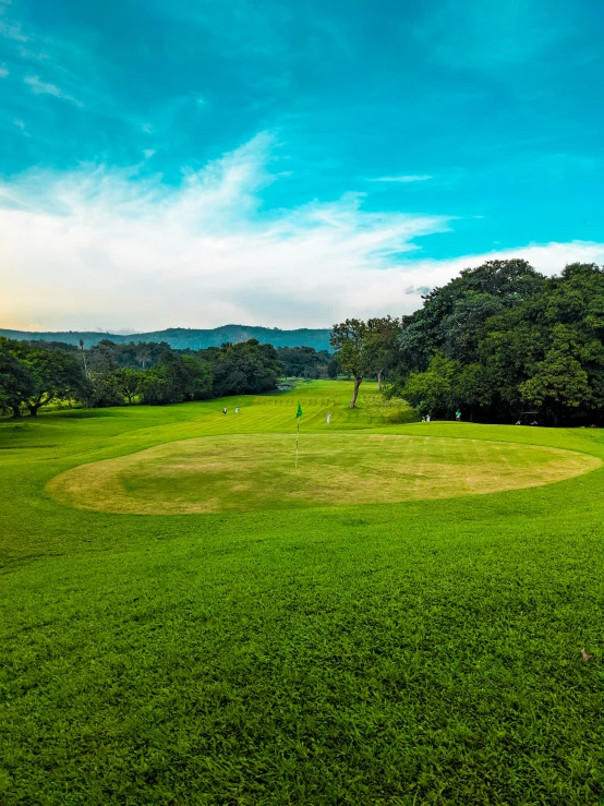 there are trees in the distance and a green golf course