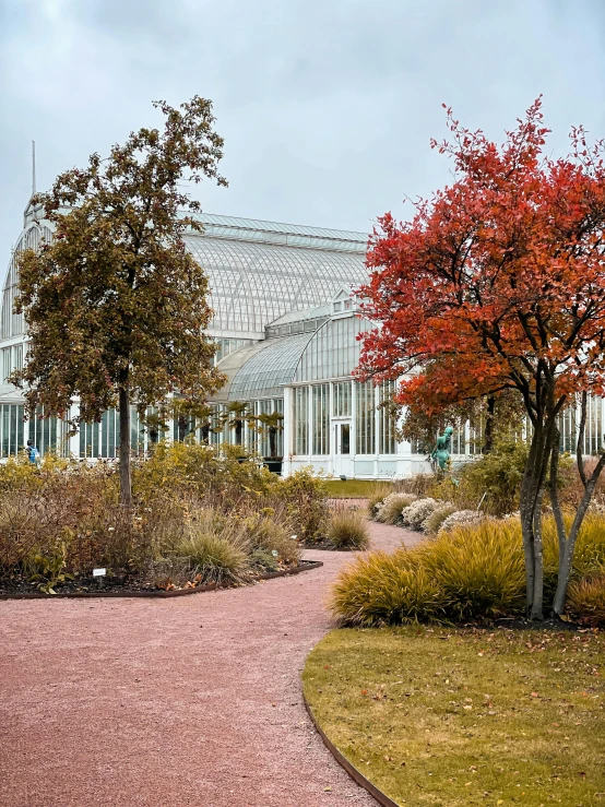 an outside view of the museum and trees with red leaves