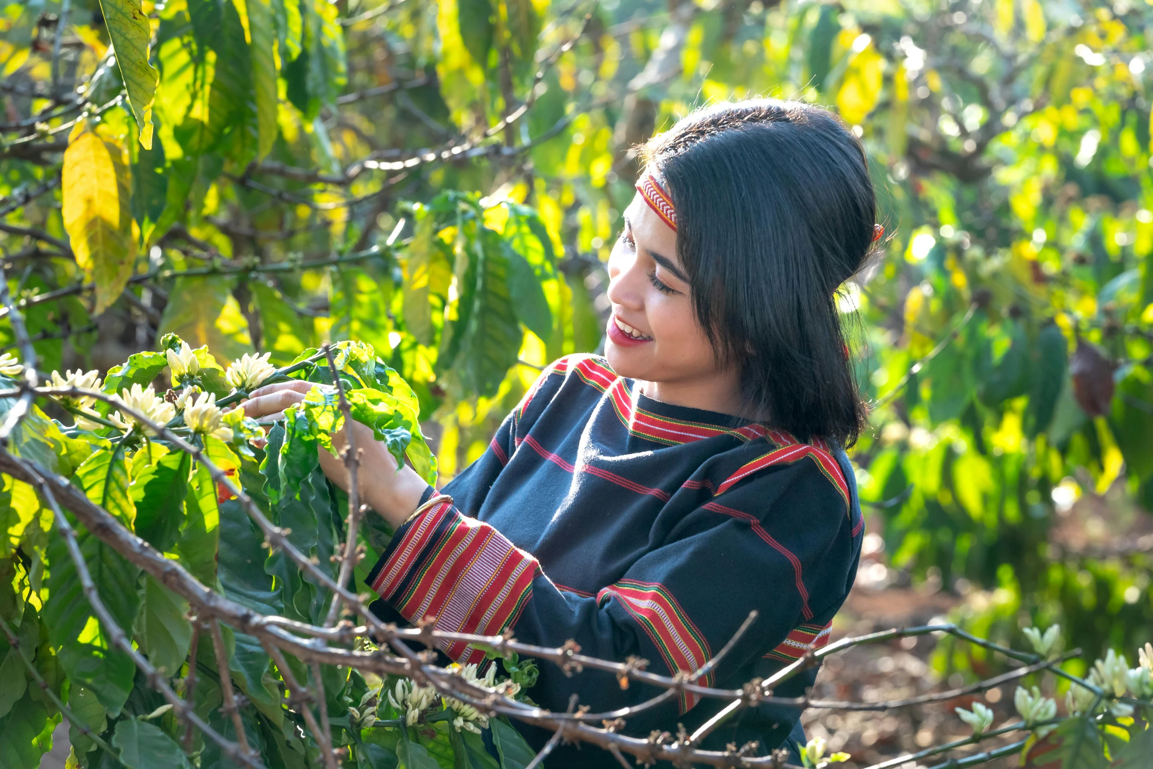 the woman is picking leaves off of the tree