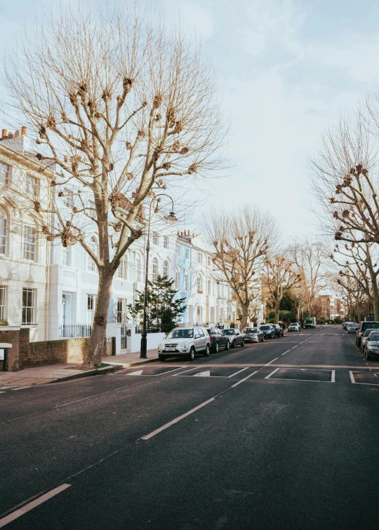 a street has trees and houses along it