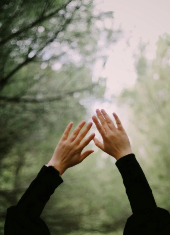 two hands are raised in front of a green forest