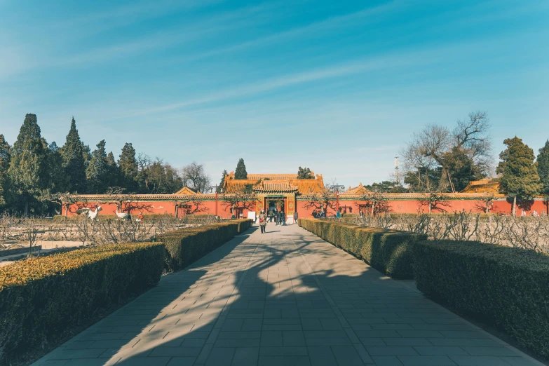 people are walking on the walkway in front of some hedges