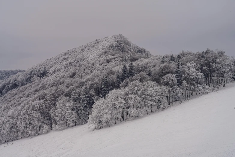 a group of skiers make their way down the slope