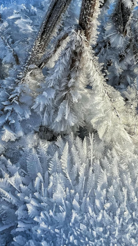 ice crystals on snow covered ground with lots of snow