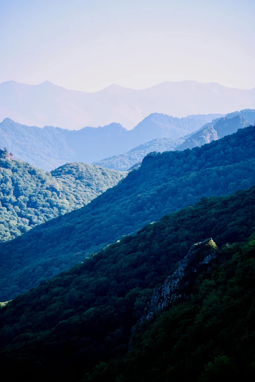 an image of the side of a mountain top with trees on it