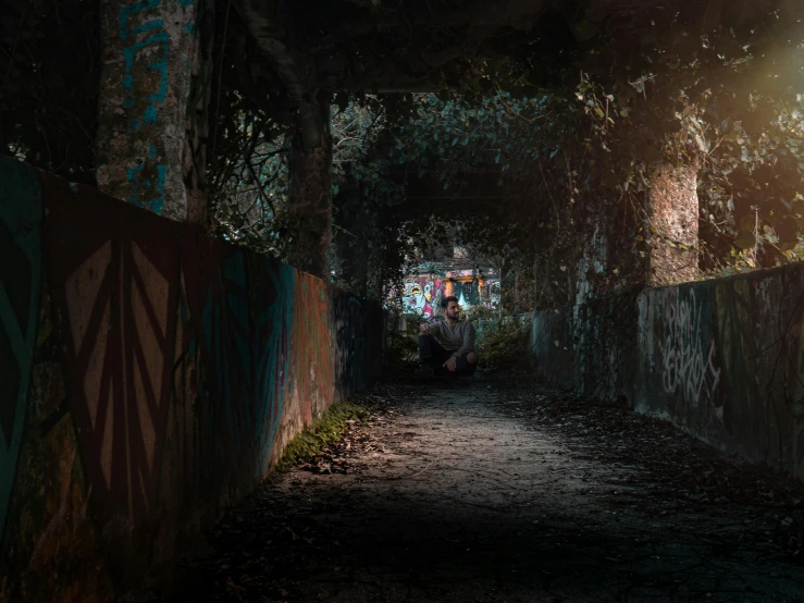 a long alley with lots of green trees growing out of it