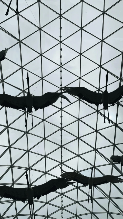 birds hanging from the net that is covering some water