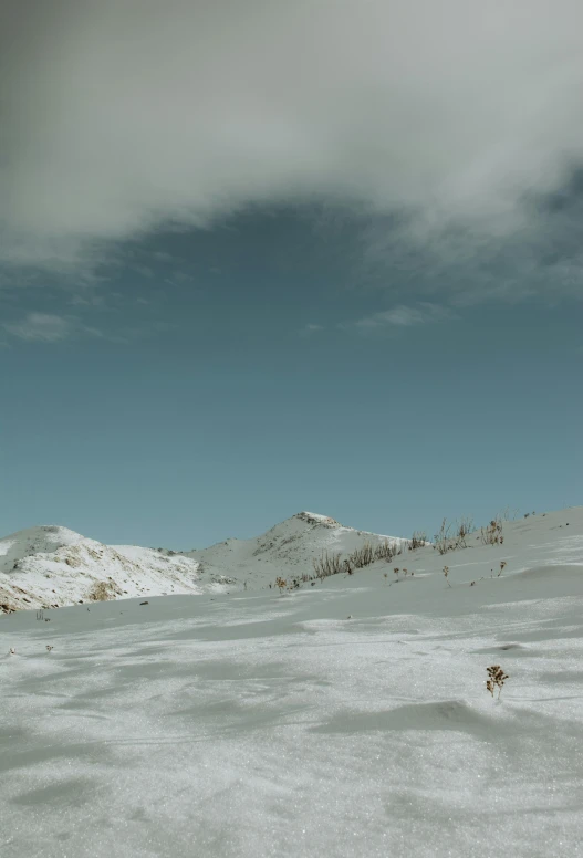 a snowy mountain landscape with snow and bushes