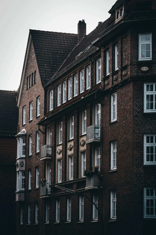 buildings are lined with small windows and a cat