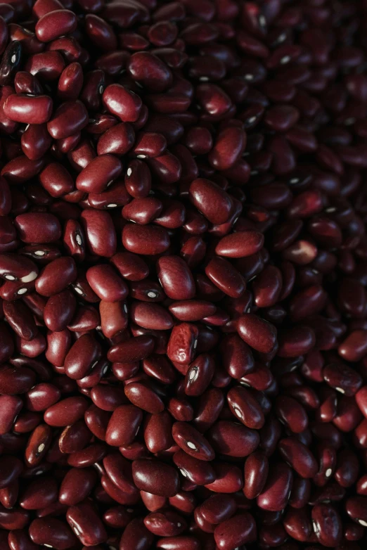 many beans all together on display in a bowl