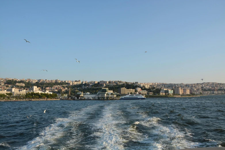 there are birds flying over the ocean and a boat