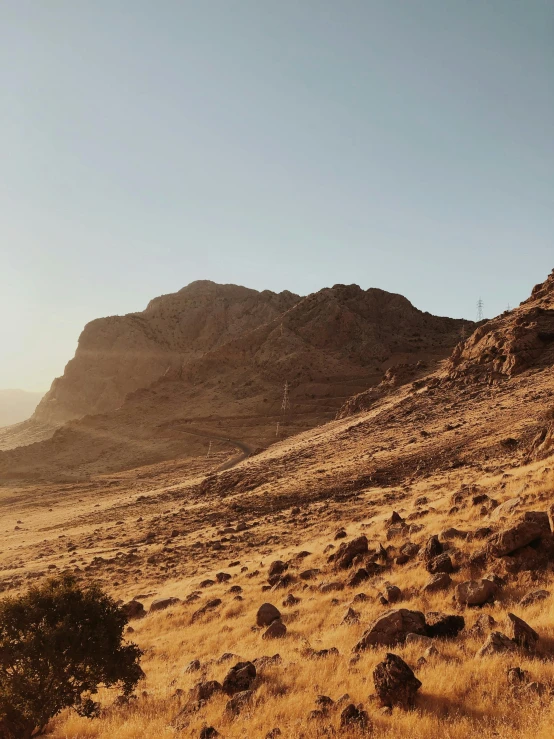 a landscape with some mountains and bushes in the distance