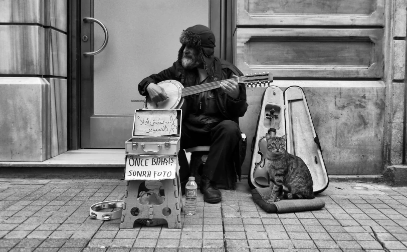 an old man sitting on a bench playing guitar next to a cat