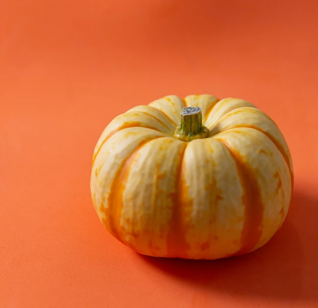 the small pumpkin is sitting alone on the surface