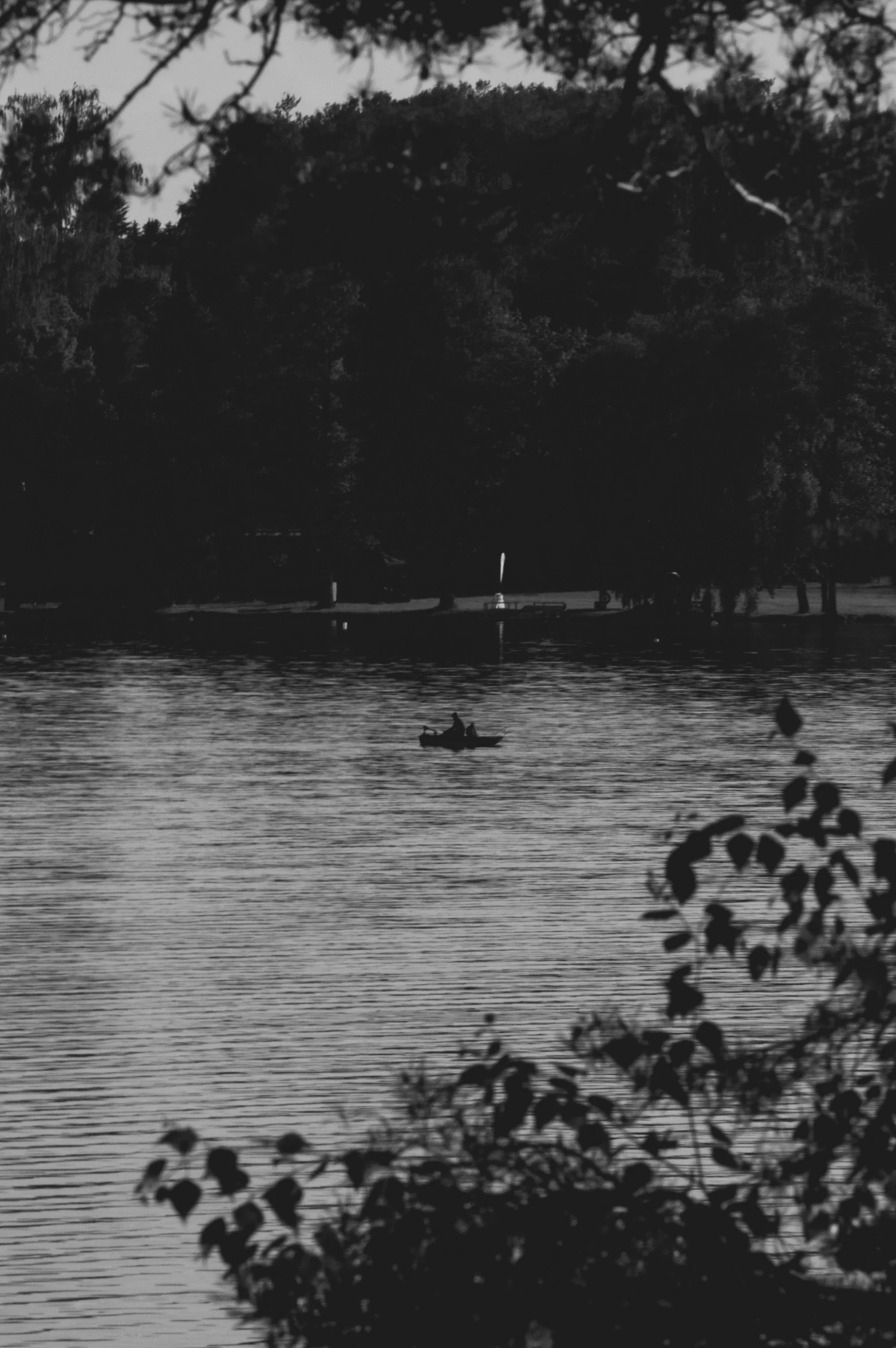 a couple of men on paddles on a lake