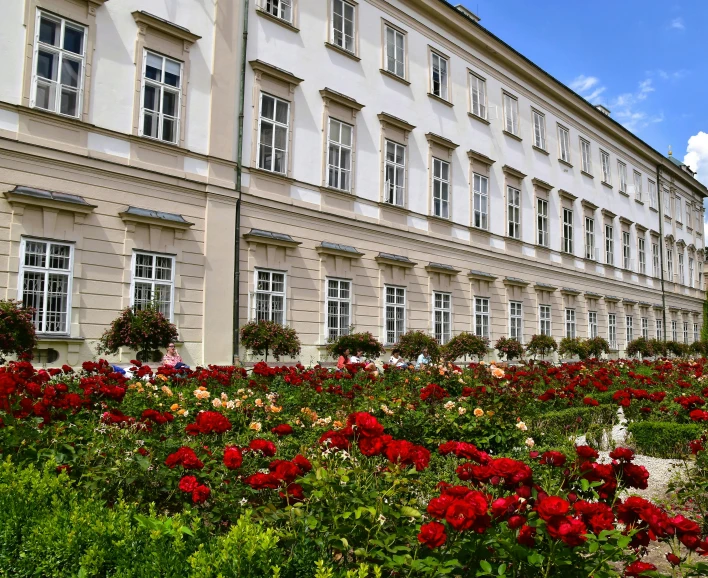 a garden with lots of flowers in front of some building