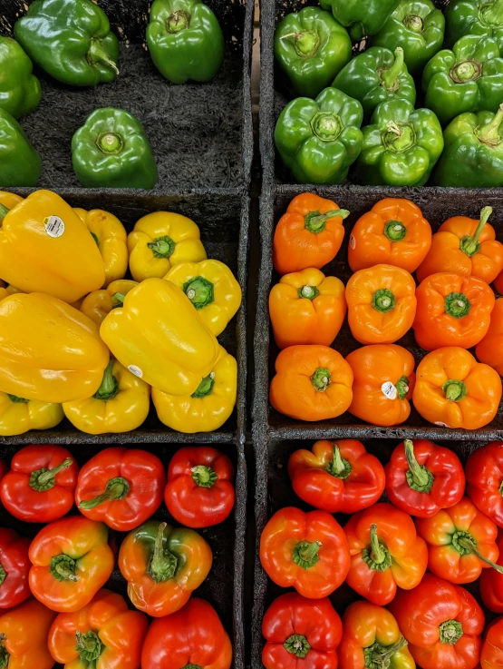 two rows of boxes filled with fresh red and yellow peppers