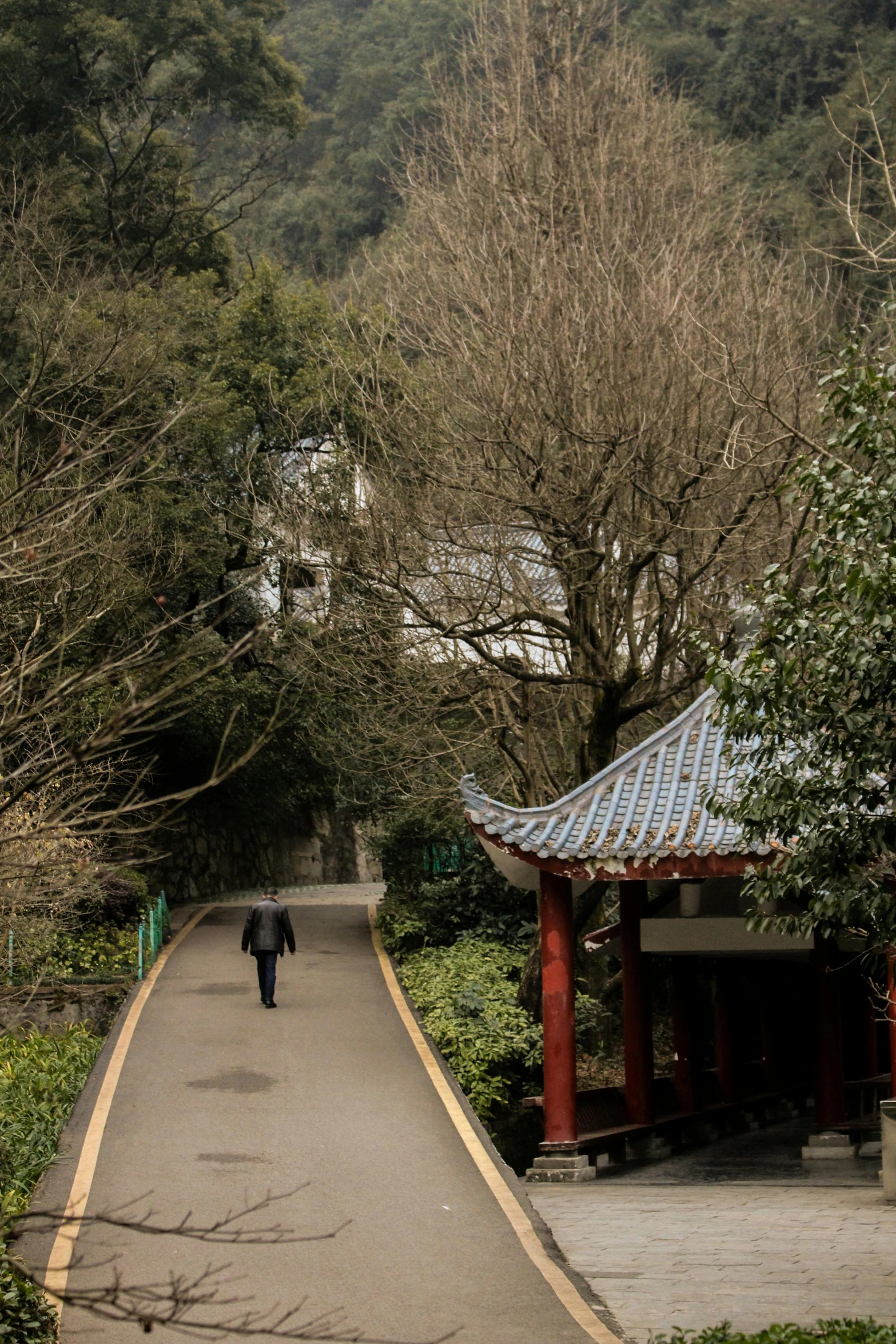 a park has a wooden bridge and a gazebo with a woman holding an umbrella