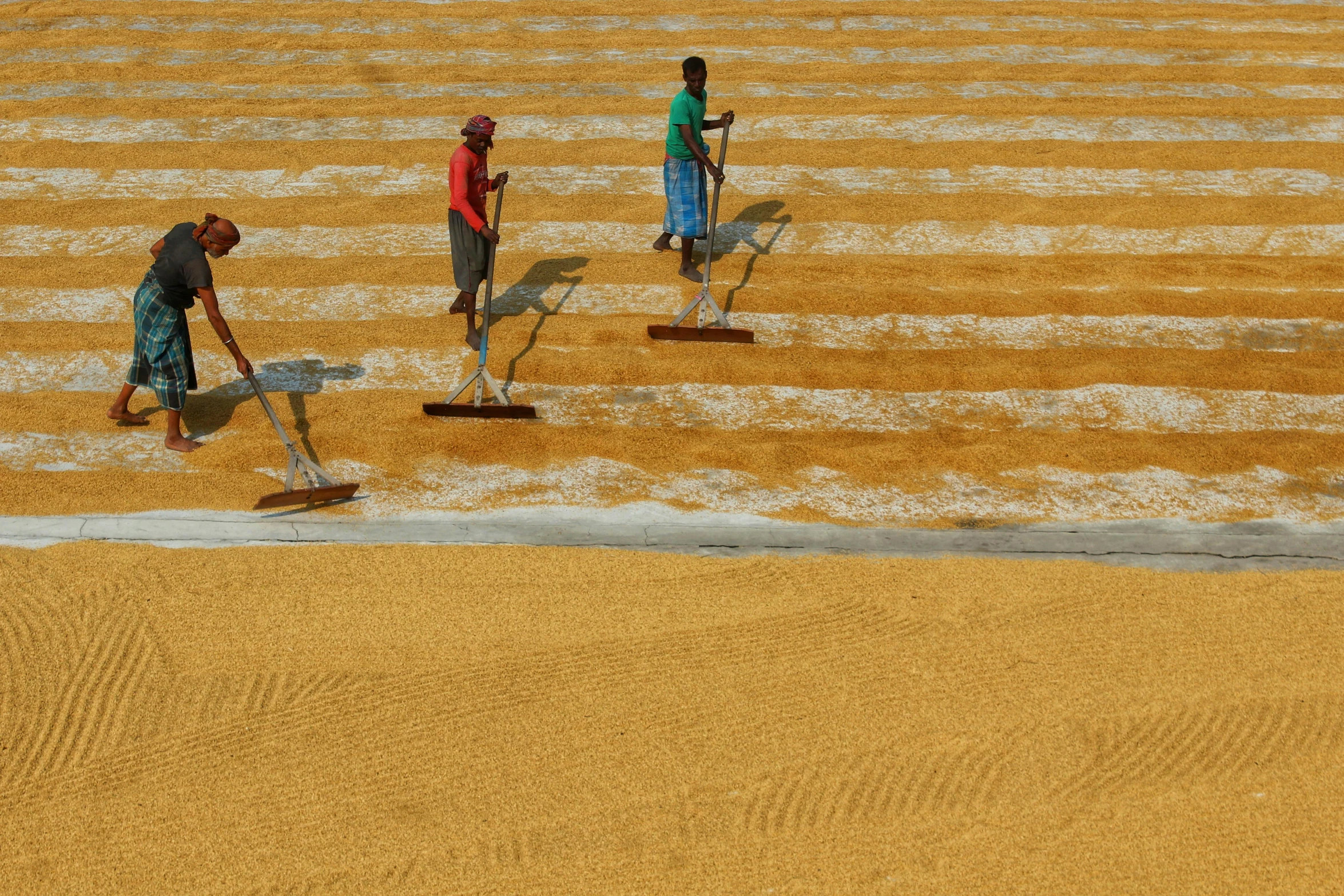 three people are cleaning a field with a broom