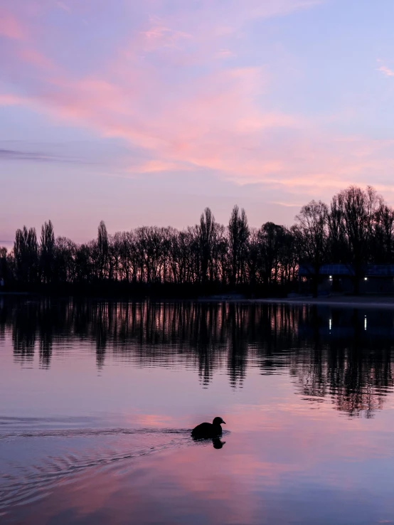 a person swimming in the water next to a lake