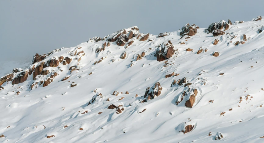 the top of a snowy mountain with rocks and trees on it