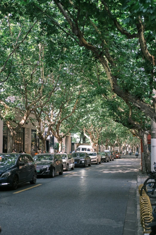 a row of parked cars is shown on the side of a street