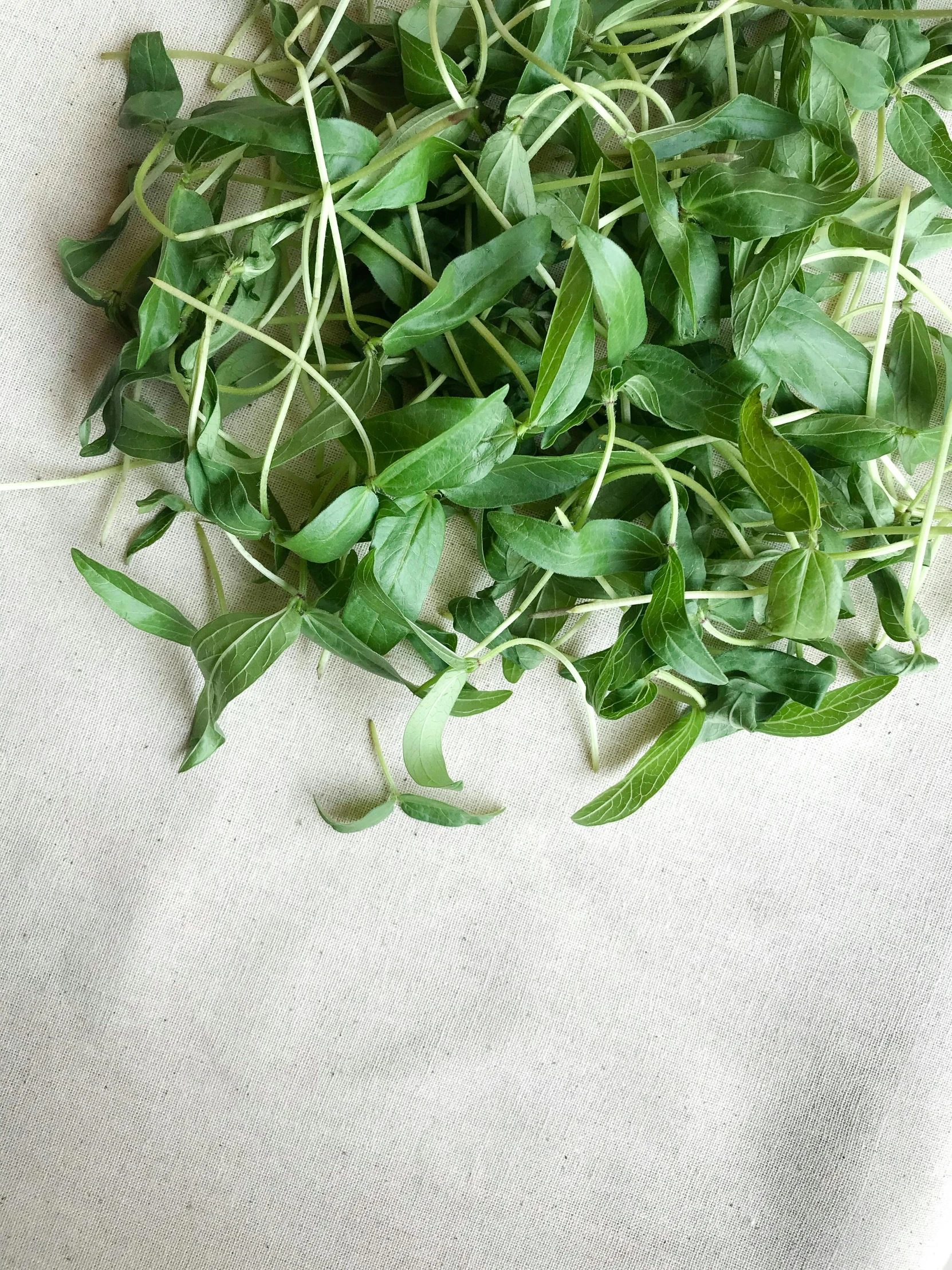 some green leaves are lying on a white cloth