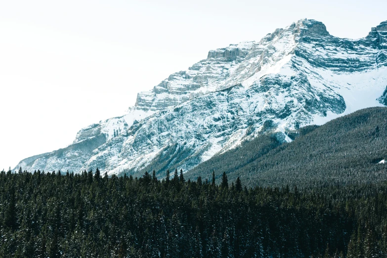 the snow covered mountain is high up in the trees