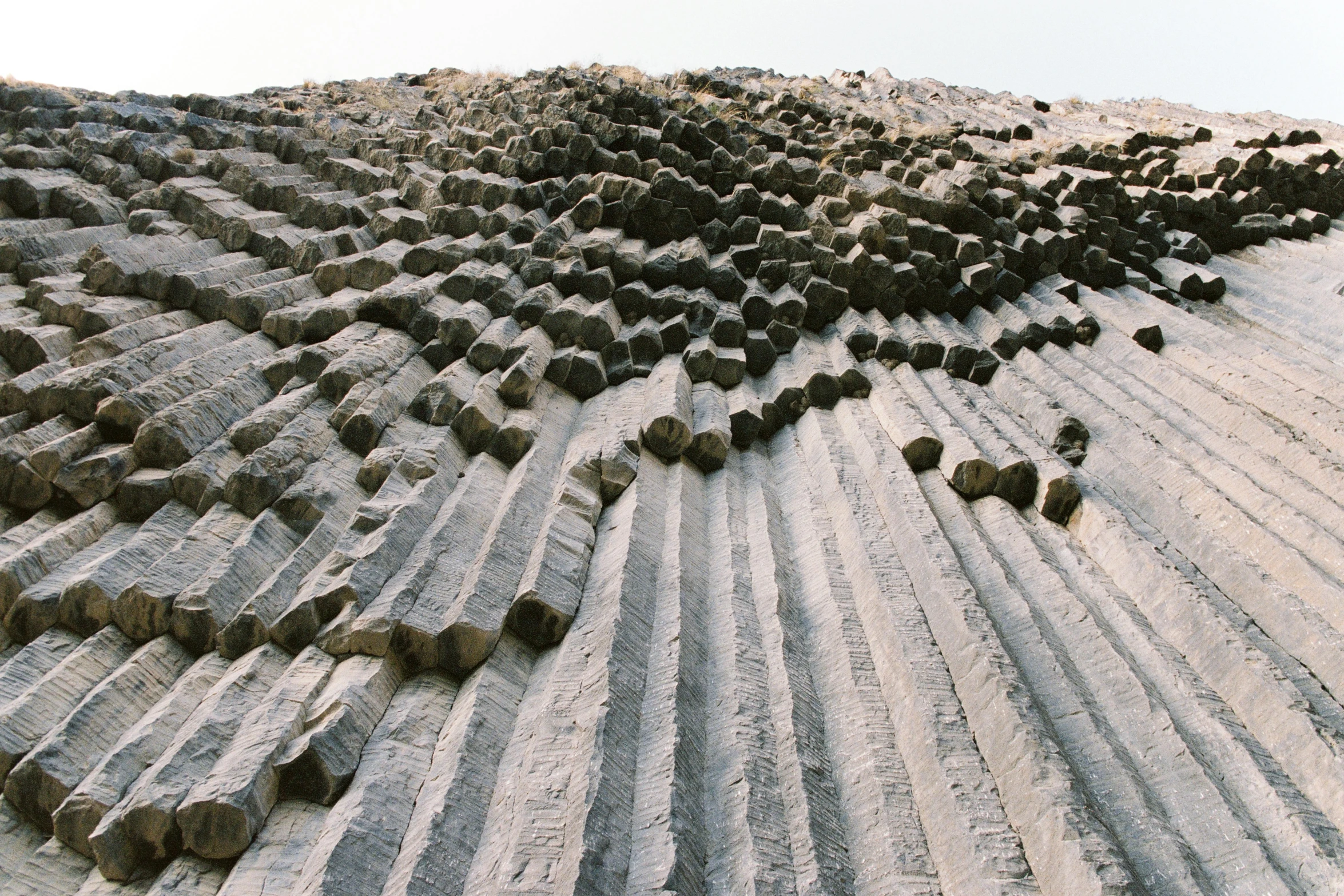 the sandy dunes are filled with rocks that look like plants