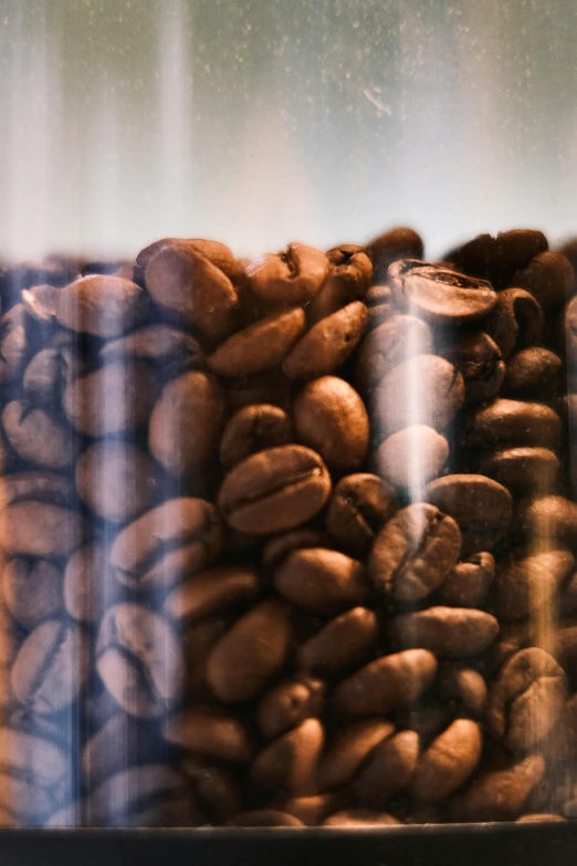 a glass filled with lots of different kinds of coffee beans