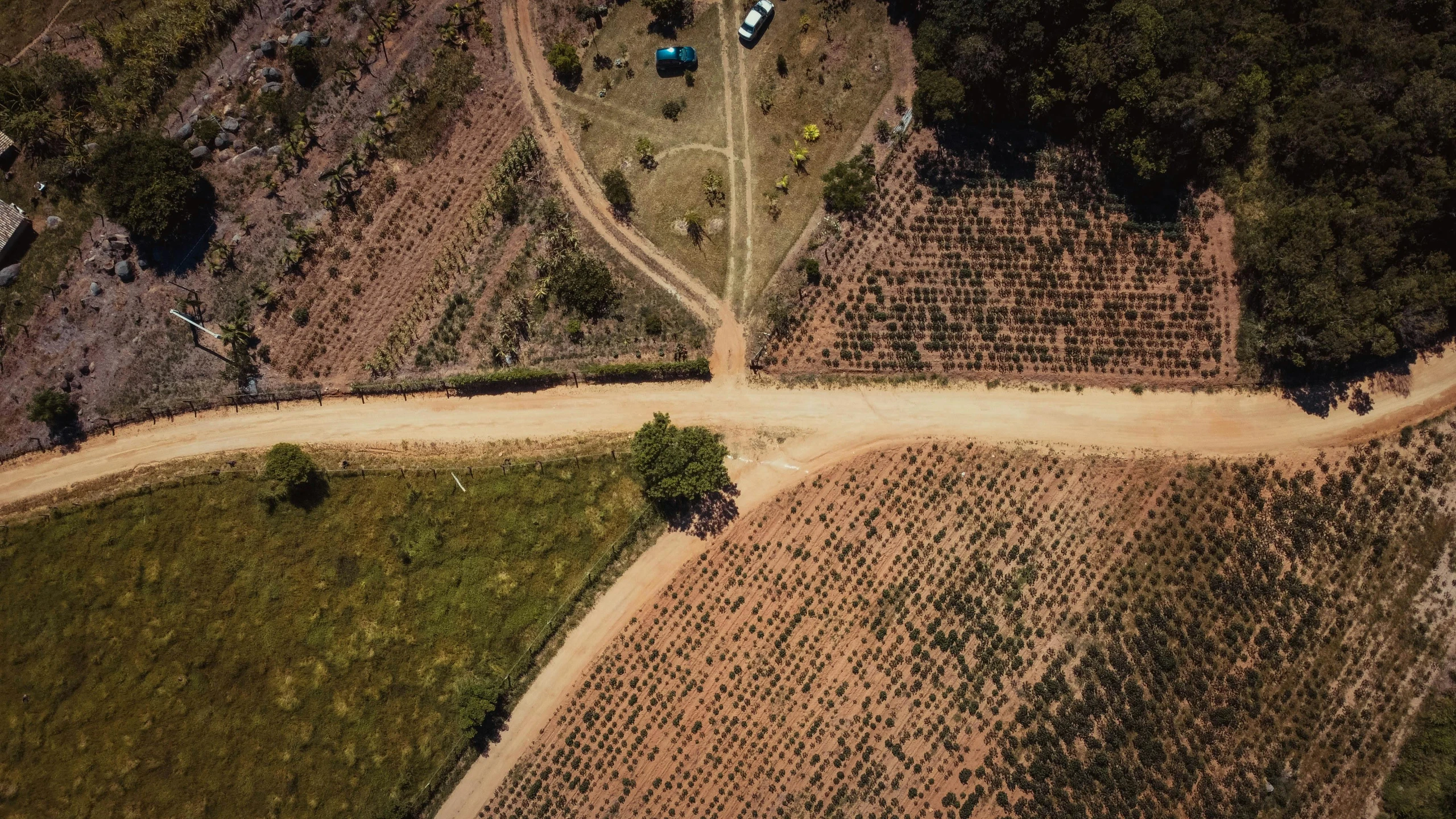 aerial view of an open field and dirt road