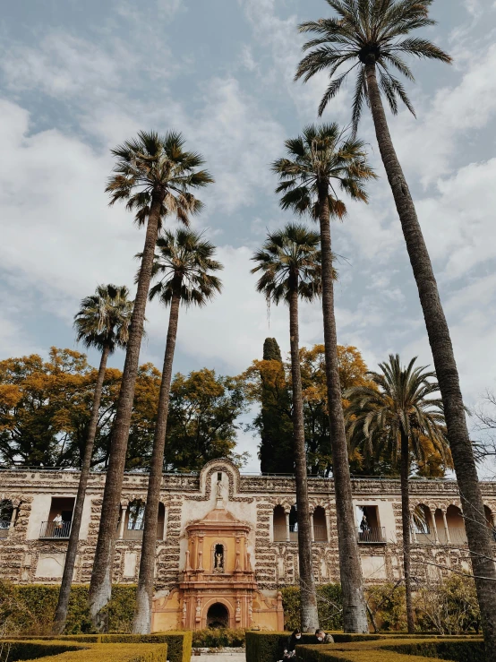 there is a building with palm trees in front