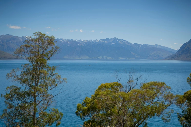 a large body of water with trees in the foreground and mountains in the background