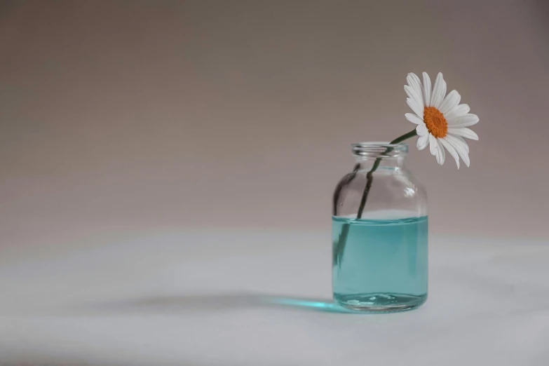 a vase that has some water in it and a flower sticking out